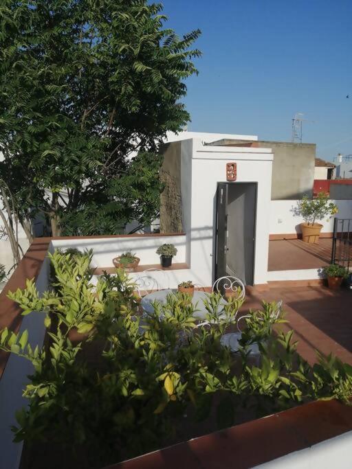 Apartamento El Sosiego Sanlúcar de Barrameda Εξωτερικό φωτογραφία